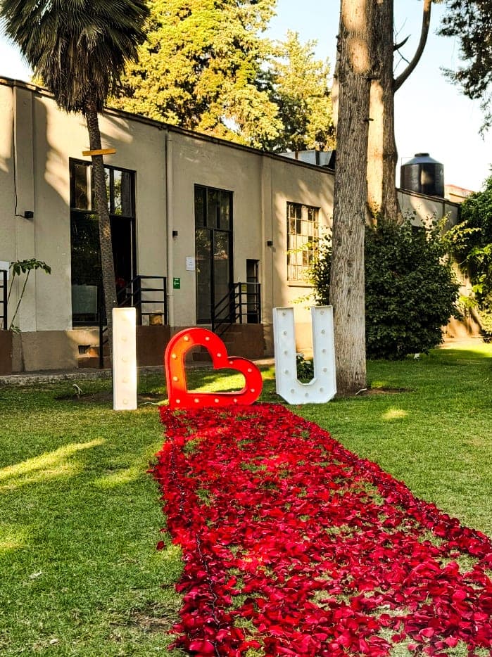 Cenas Románticas y Momentos en Quinta Soledad